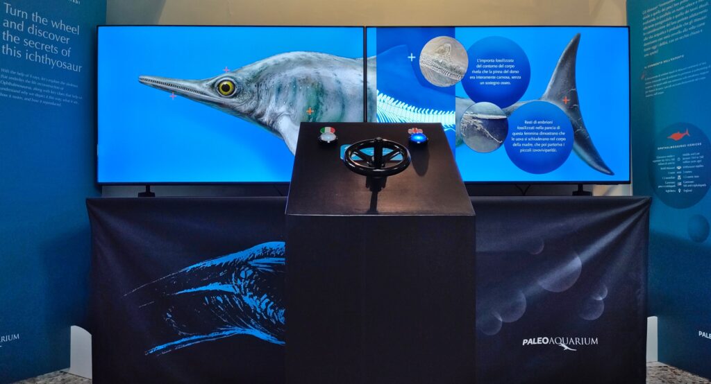 Exhibit X-RAY