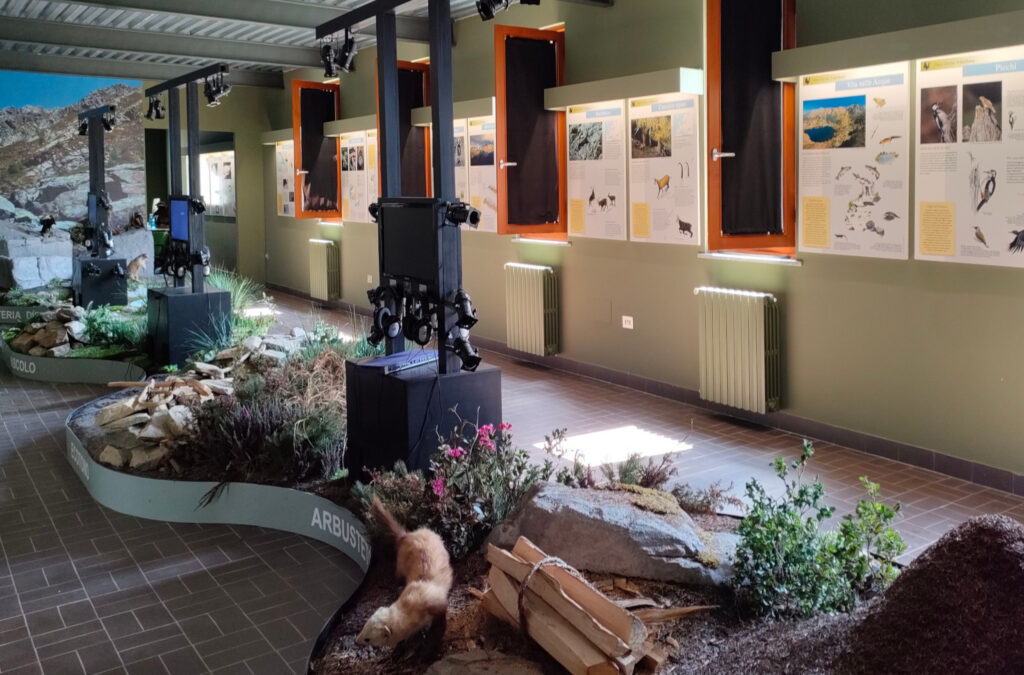 Diorama nella sala principale