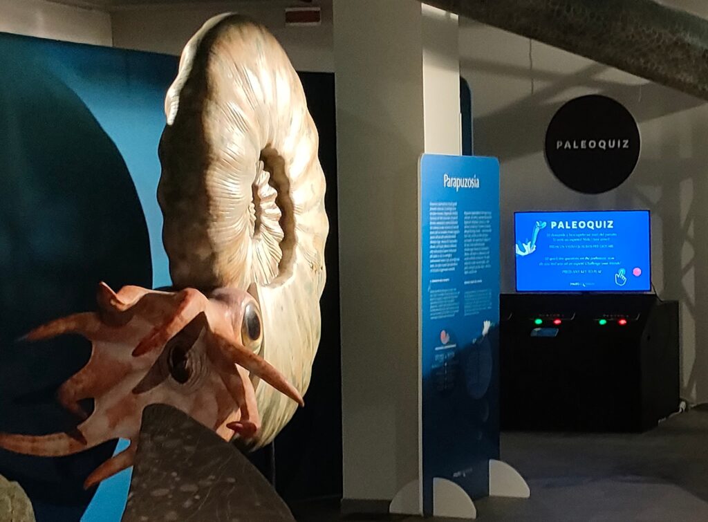 In fondo l'exhibit PaleoQuiz